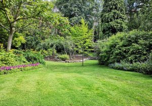 Optimiser l'expérience du jardin à Saint-Laurent-en-Beaumont